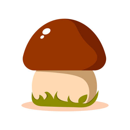 Vector illustration of mushroom isolated on white background.のイラスト素材