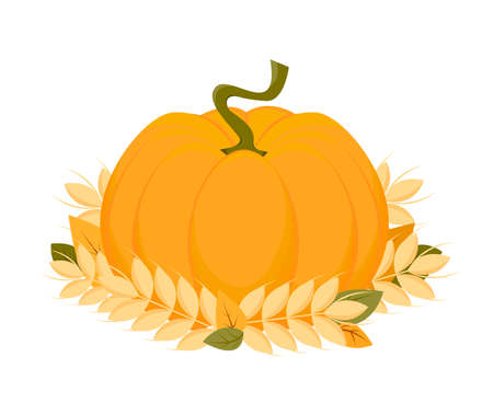 Vector illustration of pumpkin, rye, autumn leaves.のイラスト素材
