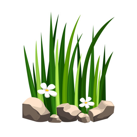 Green grass growing in soil among stones. Concept of wild nature, plants, ecology, botany.のイラスト素材