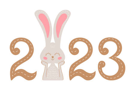 2023 year of the Rabbit. Chinese New Year Lunar Calendar. Be used for Background, banner, greeting...