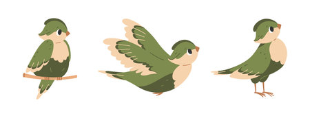 Cute green birdie standing, sitting on branch, flying with its wings spread. Vector flat illustration set.のイラスト素材