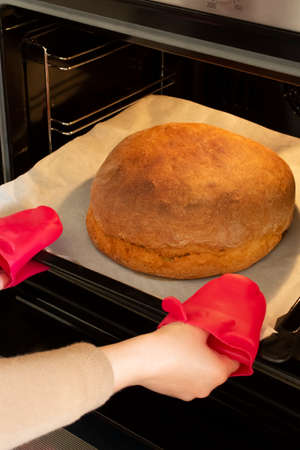 home made fresh bread baked in oven