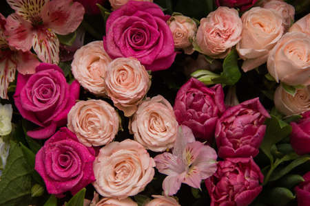 background of colorful flowers. Background of roses. Many flowers on the backgroundの写真素材