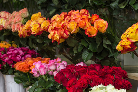 Flower shop.Multi-colored flowers vases on the showcase of the salon.Bright roses..Selling flowers.Warehouse.Rose varieties close-upの写真素材