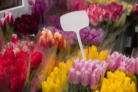 Lots of tulips in the flower shop. Multi-colored tulips on the showcase of the salon. Sale of tulips.Tulips in package.flower warehouseの写真素材