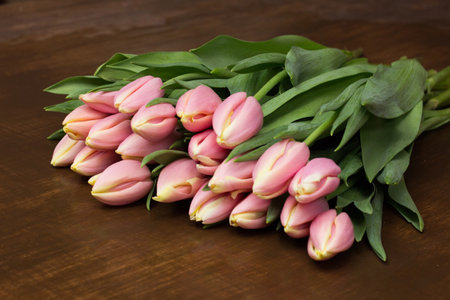 tulips lie wooden table shop.creating bouquet of tulips.processing and trimming flowers.bouquet and composition.sale of tulips on international women's day.の写真素材