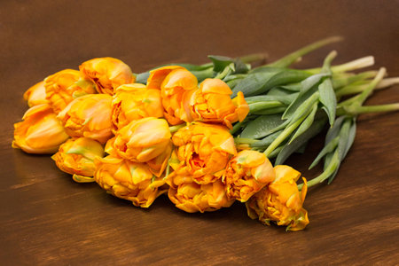 tulips lie wooden table shop.creating bouquet of tulips.processing and trimming flowers.bouquet and composition.sale of tulips on international women's day.の写真素材