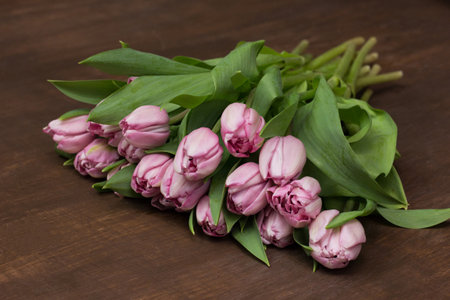 tulips lie wooden table shop.creating bouquet of tulips.processing and trimming flowers.bouquet and composition.sale of tulips on international women's day.の写真素材