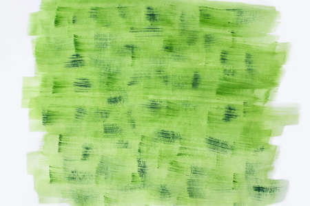Green and white backgrond, bright background, large strokes, banner, background for the site, summer, textureの写真素材