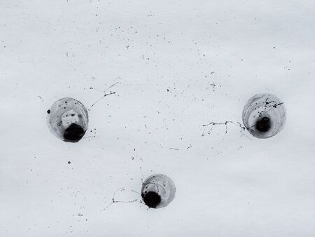 Black bubbles, circles and splashes. Black and white background. Bw. Sprayの写真素材