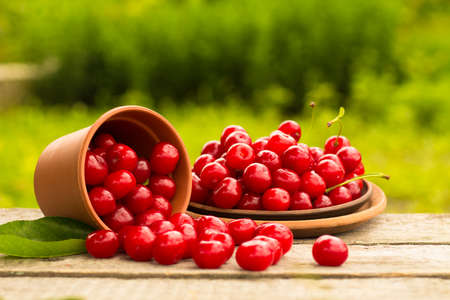 Cherries on wooden table with water drops macro background. DOF
