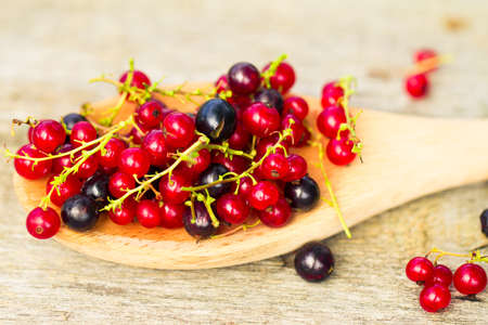 Fresh ripe currant red and black berries bowl on wooden table backgroundの写真素材