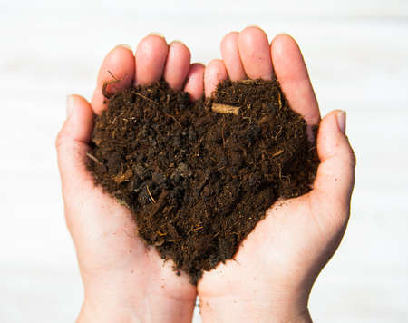 Hands holding an earth heart on white background. Spring and cology conceptの写真素材