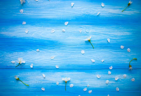 Spring border background with white blossom with copy space. Spring timeの写真素材