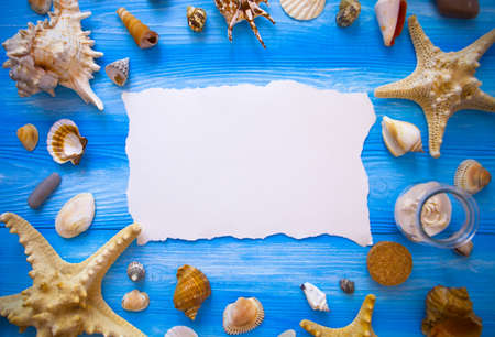 Summer time sea vacation with white blank with copy space, star fish and marine shell. Selective focusの写真素材