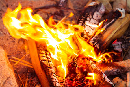 Closeup of blazing campfire coals, fire in nature