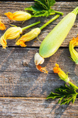 fresh, organic flowers of zucchini on a wooden table. style rustic. selective focusの写真素材
