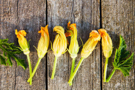Zucchini flowers on a old wooden table close up, rustic style, selective focusの写真素材
