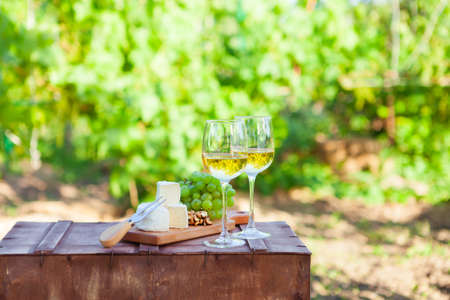 Two glasses Wine, grapes, nuts, cheese on vineyard. Dinner, lunch, romantic date, picnic, eating on nature.の写真素材