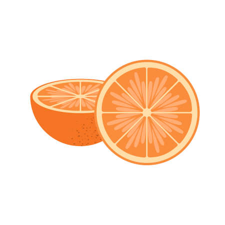 Slise and half ogange vectorのイラスト素材