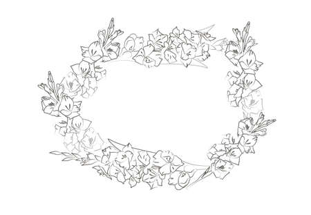 Horizontal frame with beautiful gladiolusのイラスト素材