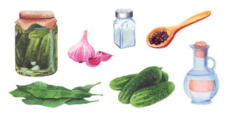 Set of Pickled Cucumbers, Ingredients for cookingの写真素材
