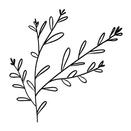 Branch with Leaves.Trendy doodle green illustration. Line art drawing style. Bright decoration. Nature illustration. Winter season. Isolated vector. Vector nature graphic background.のイラスト素材