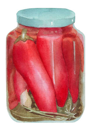 Pickled Pepers in a glass jar, marinated chili with garlic, grape leaves and cinnamon, watercolor illustration, isolatedの写真素材