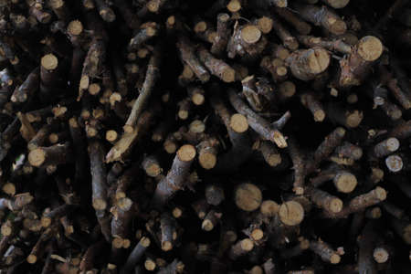 logs firewood stacked background wood chips cut treesの写真素材