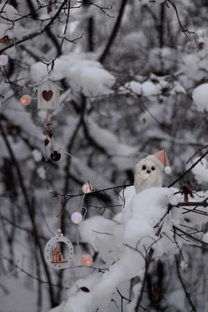 winter snow location for photo details owl decorations new yearの写真素材