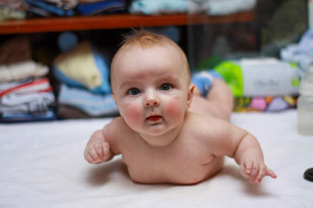 a newborn baby is lying on its stomach. chubby boy. foldsの写真素材