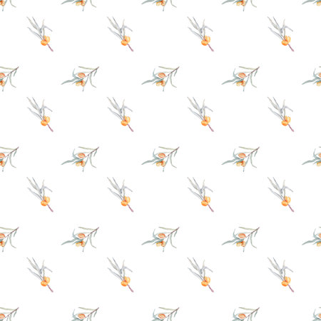 Pattern with orange sea buckthorn. Sea buckthorn for healthy life and design background. Hand painted. Botanical natural. Seamless pattern, an illustration for postcards, posters, textile design.の写真素材