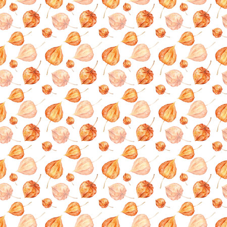 Seamless pattern with watercolor physalis. Superfood orange poster. Vegetable. Red, orange, yellow. Vegetarianism. Autumn farm product.の写真素材