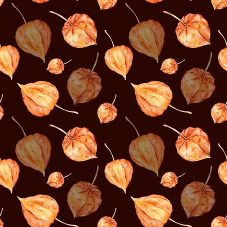 Seamless pattern with watercolor physalis. Superfood orange poster. Vegetable. Red, orange, yellow. Vegetarianism. Autumn farm product.の写真素材