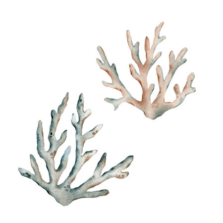 Set of coral. Sea nature. Watercolor illustration isolated on white. brown, sepia, sienna, umber, ochre, golden, naples, emerald, green, sky blue, aquamarineの写真素材