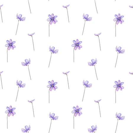 Seamless pattern watercolor spring flowers. Scilla. Coppice, hepatica - first spring flowers. Illustration of delicate lilac flowers. Primroses, the anemones. forest flowers liverwortの写真素材