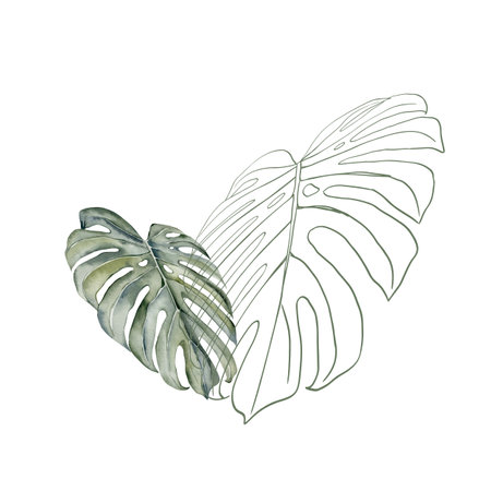 Monstera leave watercolor painting for cards, wedding invitation, birthday cards. Watercolor tropical leaves. Hand painted exotic green branches isolated on white background. Summer illustrationの写真素材