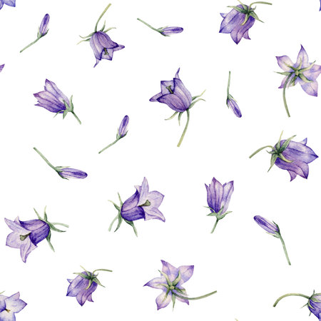Seamless pattern watercolor summer flowers. Scilla. Campanula patula, little bell, bluebell, rapunzel, harebell. Illustration of delicate lilac flowers. forest flowers bellflowerの写真素材