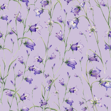 Seamless pattern watercolor summer flowers. Scilla. Campanula patula, little bell, bluebell, rapunzel, harebell. Illustration of delicate lilac flowers. forest flowers bellflowerの写真素材