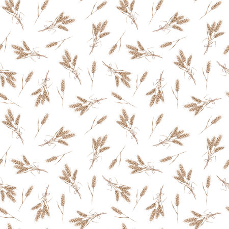 Seamless wheat spikelet pattern. Watercolor herbal background with wheat spica, oats spikelet illustration for textile, wallpapers, bakery decor. Autumn harvest, crops.の写真素材