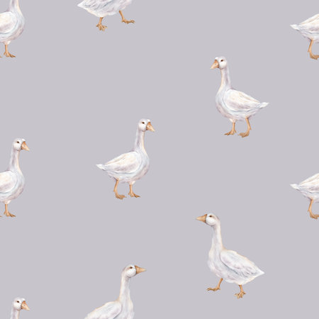 Watercolor seamless pattern with goose farm bird. Tender watercolor illustration on a isolated on background. Domestic white and gray watercolor cute farm bird. Hand drawn illustration farm birds.の写真素材