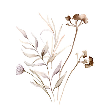 Watercolor floral delicate pastel vintage green violet purple brown bouquet. Hand drawn illustration isolated on white background. Flower and leaves composition for stationary or textileの写真素材
