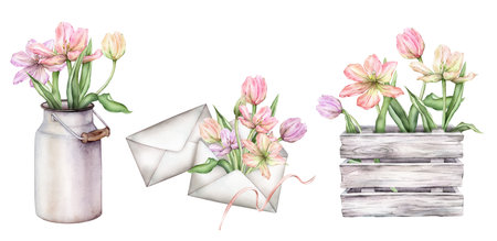 Set of bouquet of Pastel light colors Tulips in wooden box and envelope with ribbon and mayflowers in can. Hand drawn watercolor illustration isolated flowers for spring wedding design or card.の写真素材