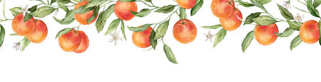 Seamless horizontal frame or banner tropical grapefruit with pink flowers. Hand drawn watercolor...