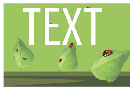 ladybugs are sitting and crawling on the green leaves of the trees with the onset of the heat and the summerのイラスト素材