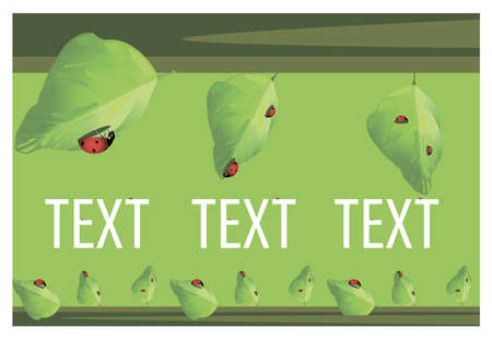 ladybugs are sitting and crawling on the green leaves of the trees with the onset of the heat and the summerのイラスト素材