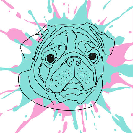 Vector image of a portrait of a pug dog faceのイラスト素材