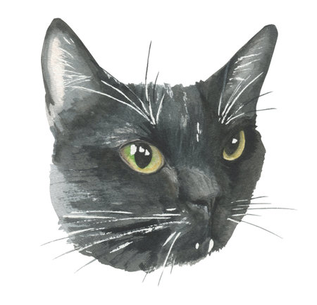 The head of a black cat painted in watercolor. Watercolor element isolated on white background for creating postcards, vintage packaging, posters, advertisementsの写真素材