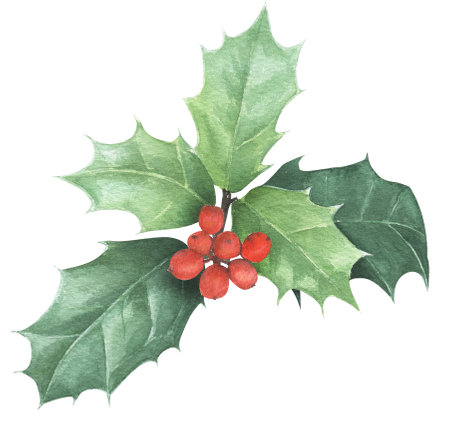 Dried orange slice hand-drawn in watercolor. Isolated element on a white background for creating patterns, postcards, packaging.の写真素材