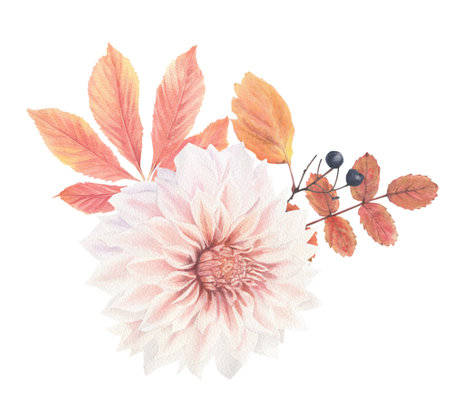 Bright composition of plant elements. Autumn flowers berries and leaves watercolor in vintage style. For posters, invitations and bright postcards.の写真素材